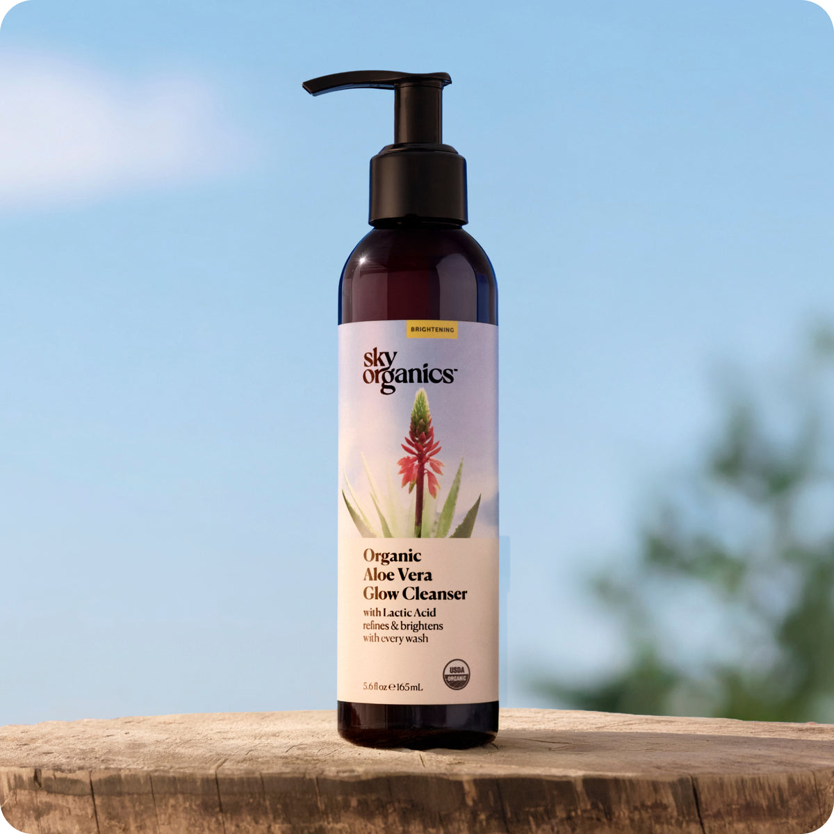Organic Aloe Vera Glow Cleanser