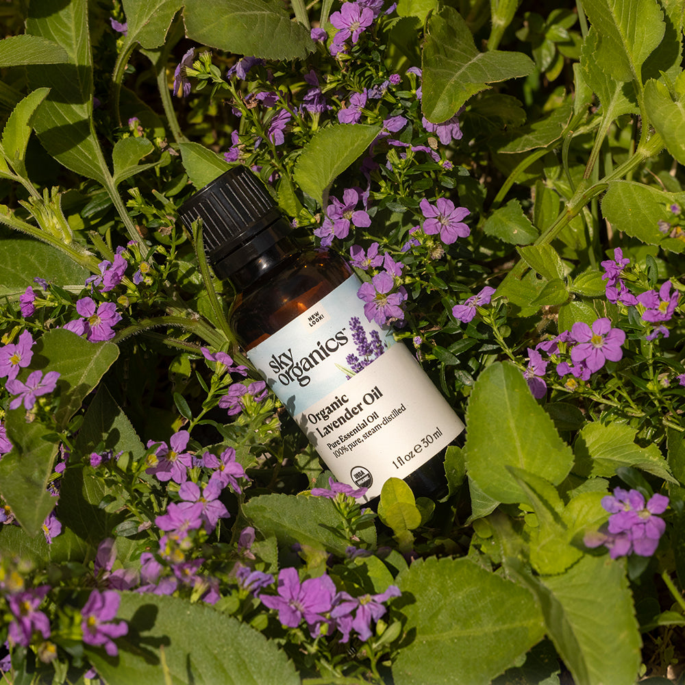 Organic Lavender Essential Oil - 1 fl oz / 30ml