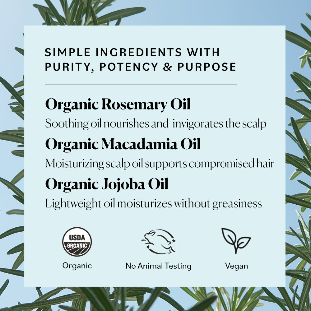 Organic Rosemary Strong Roots Oil – Sky Organics