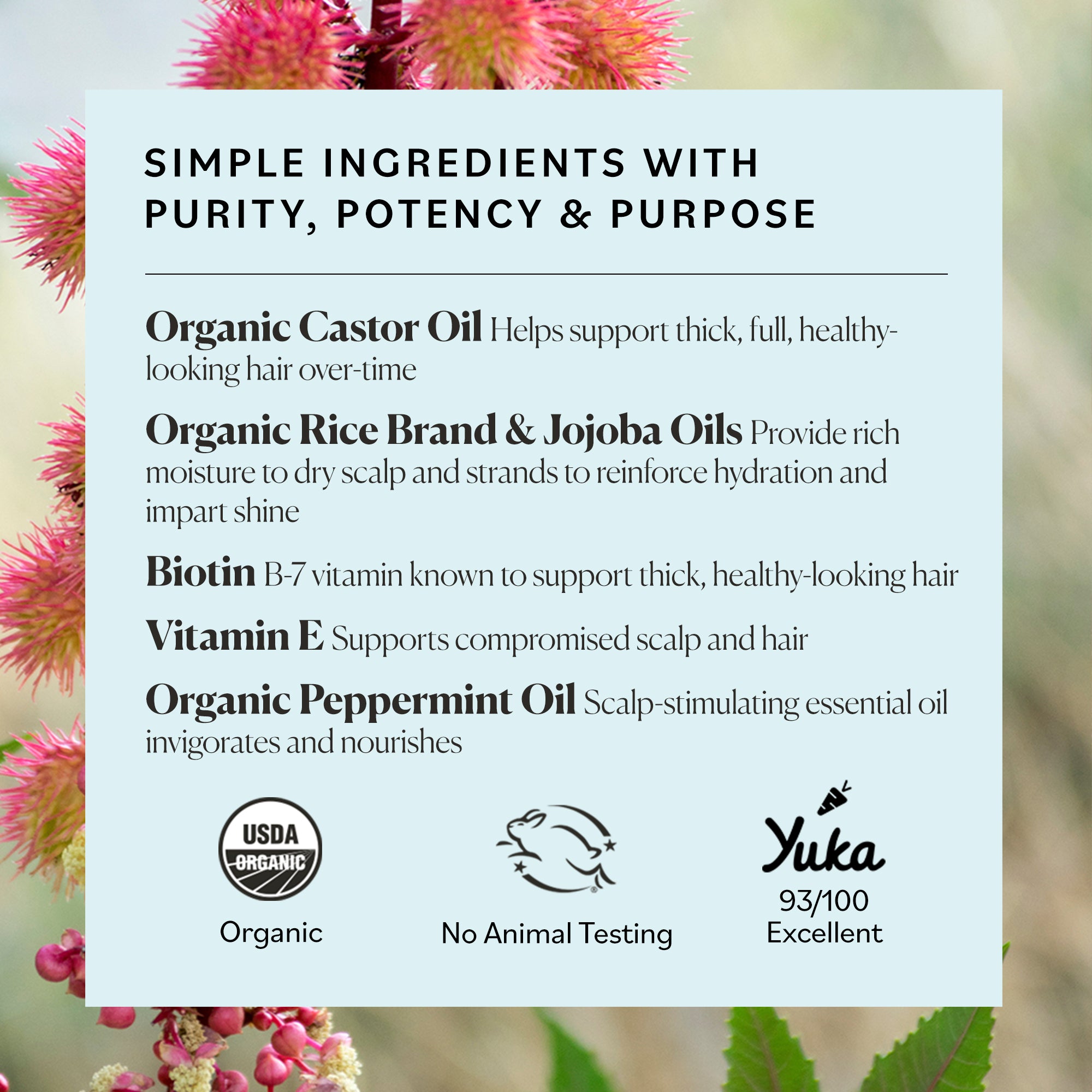 Organic Castor Oil GroPotion – Sky Organics