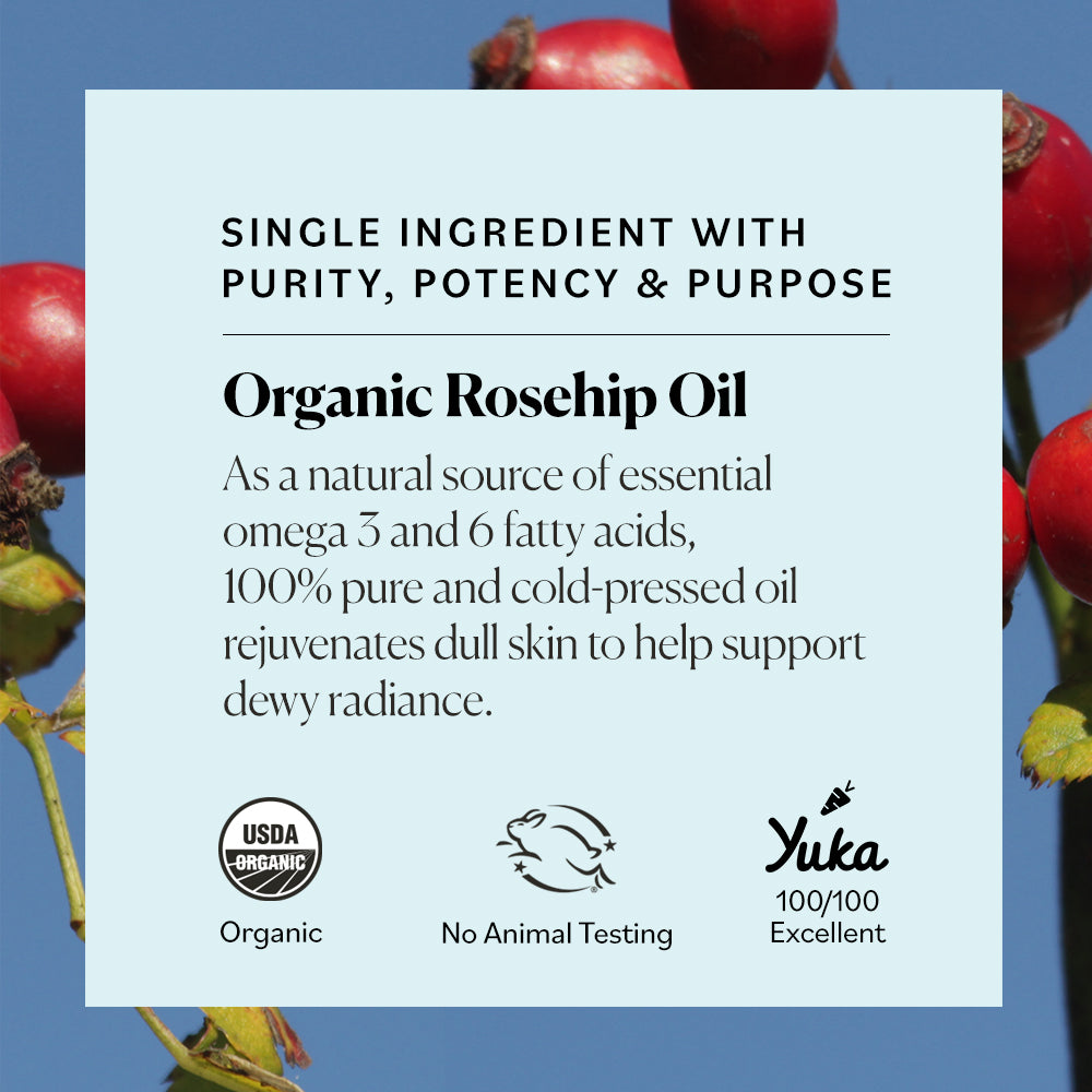 rose hip seed oil skin care benefits Organic Rosehip Oil